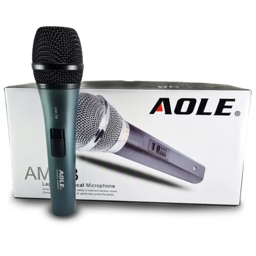 Microfono Aole Am-98